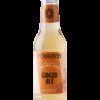 Polara 53 Ginger Ale cl 20 vap
