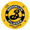 Birra in Fusto Brooklyn Pilsner Modular lt 20