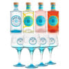 6 bt di Gin Malfy cl 70 + 6 Calici Balloon Malfy