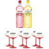 Bundle Gin Gordon's con Calici Balloon