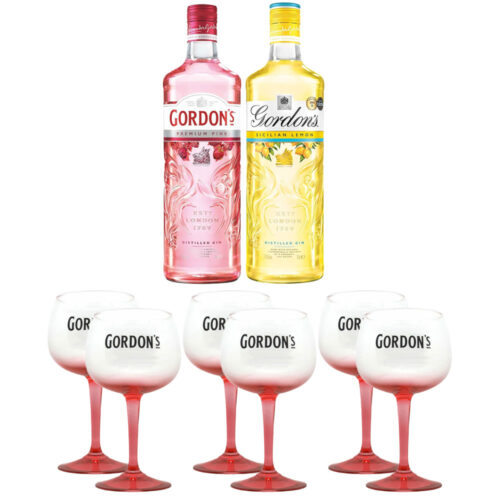 Bundle Gin Gordon's con Calici Balloon