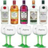 Bundle Tanqueray a Scelto + Calici Balloon