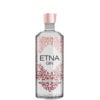 Gin Etna cl 70