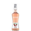 Liquore Monin Litchi cl 70
