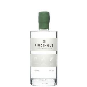 Gin Piùcinque cl 70
