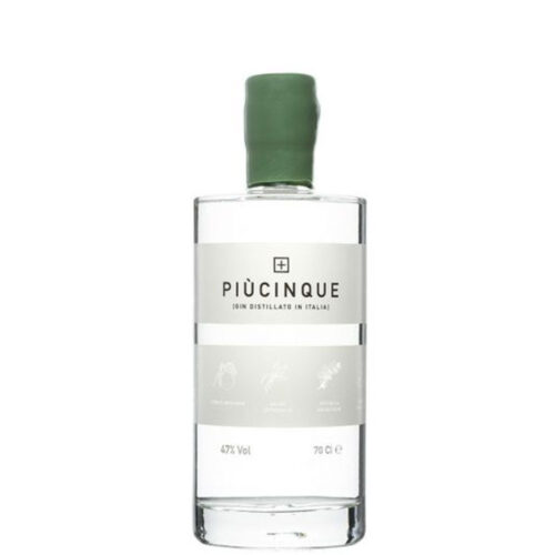 Gin Piùcinque cl 70