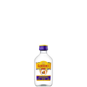Gin Gordon cl 5 mignon PET