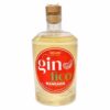 Gin Fico Mandarin cl 70