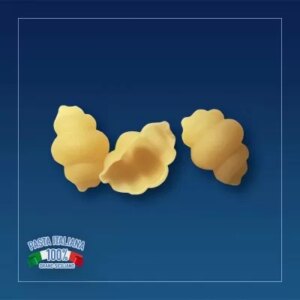 Pasta poiatti gnocchi kg 1 nr 57