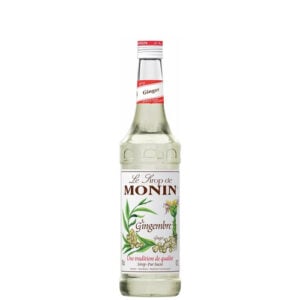Sciroppo Monin zenzero cl 70