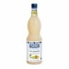 Sciroppo Fabbri Mixybar Falernum kg 1