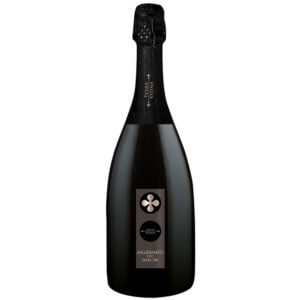 Spumante millesimato extra dry Terra Vizina cl 75