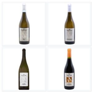 Scopri l'Essenza della Sicilia: Pack di Vini Kalsa 2023-2024